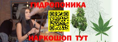 спайс Гусев