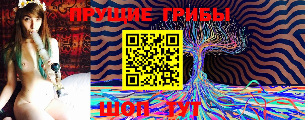 Псилоцибиновые грибы прущие грибы  купить наркотик  Нижний Тагил  Вход с VPN 